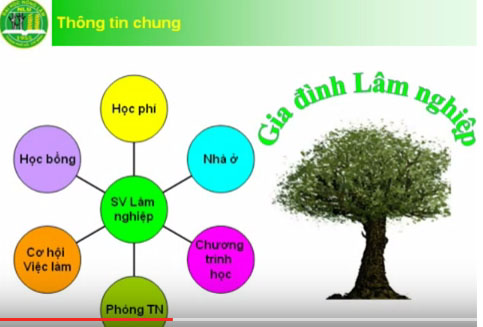 http://ts.hcmuaf.edu.vn/data/image/kHOA%20LAMNGHIEP.jpg
